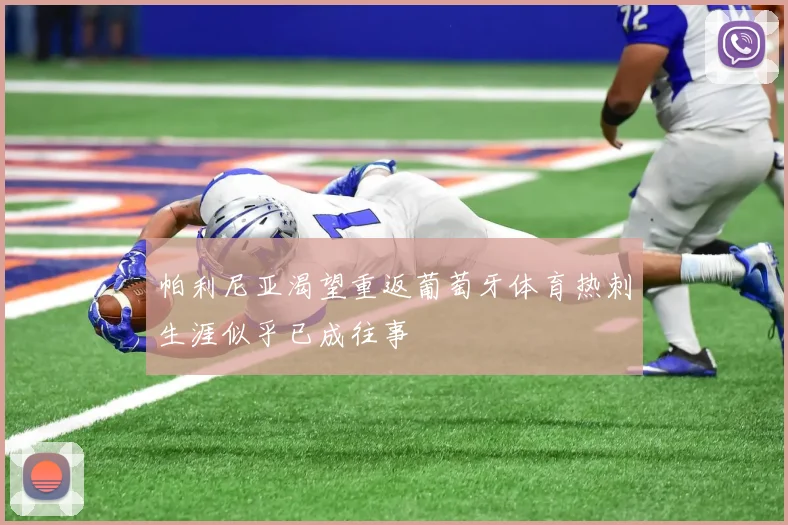 帕利尼亚渴望重返葡萄牙体育热刺生涯似乎已成往事